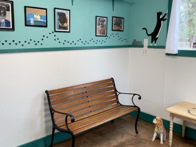 Lobby space with a wood bench